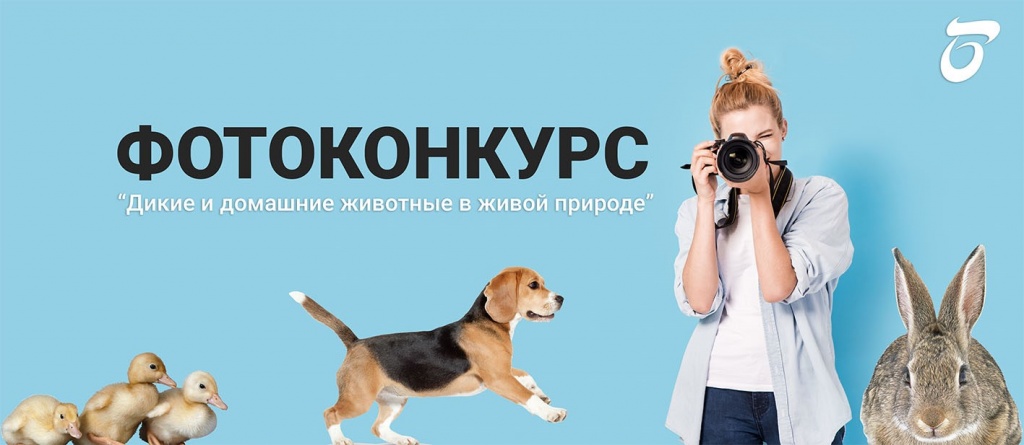 photo_end.jpg